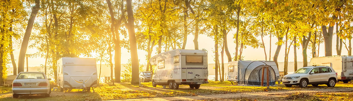 Wohnwagen die zwischen Bäumen stehen und von der Sonne angestrahlt werden