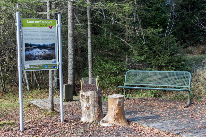 eine Sitzbank im Wald, daneben steht ein Schild auf welchem Fakten zu Moorlandschaften stehen