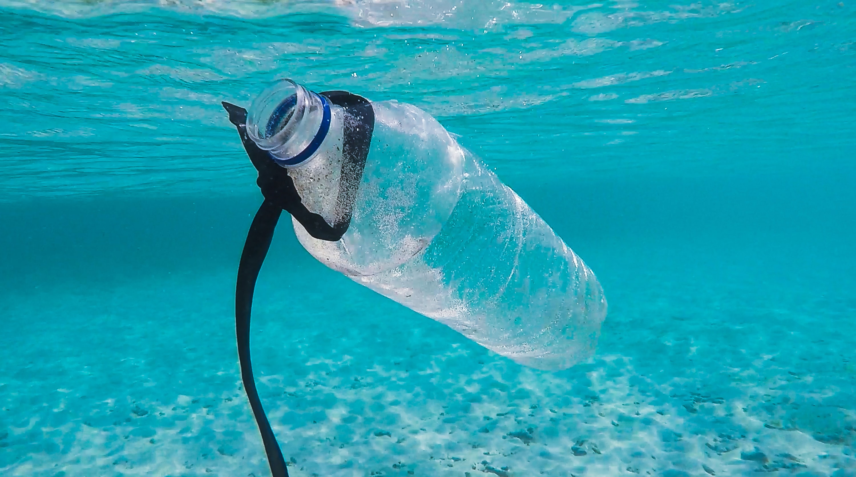 eine im Wasser schwimmende Plastikflasche