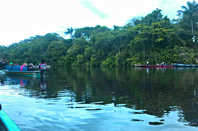 Feuchtgebiet im Wildtierreservat © Verónica Muñoz/TourCert