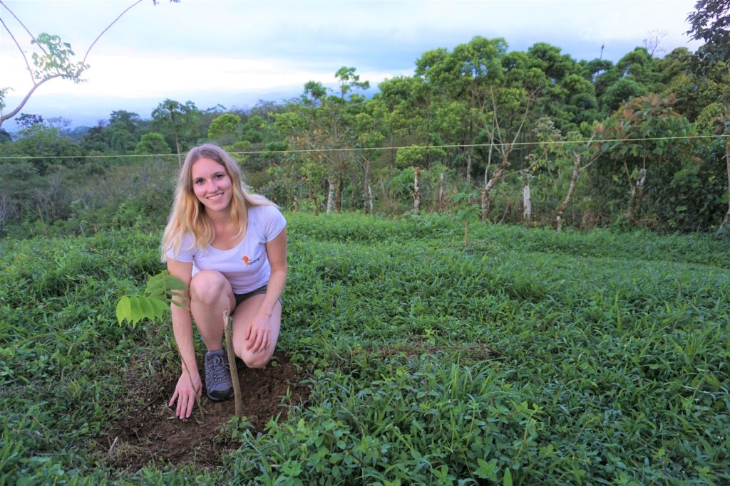 Mädchen beim Baum pflanzen im Bosque La Tigra