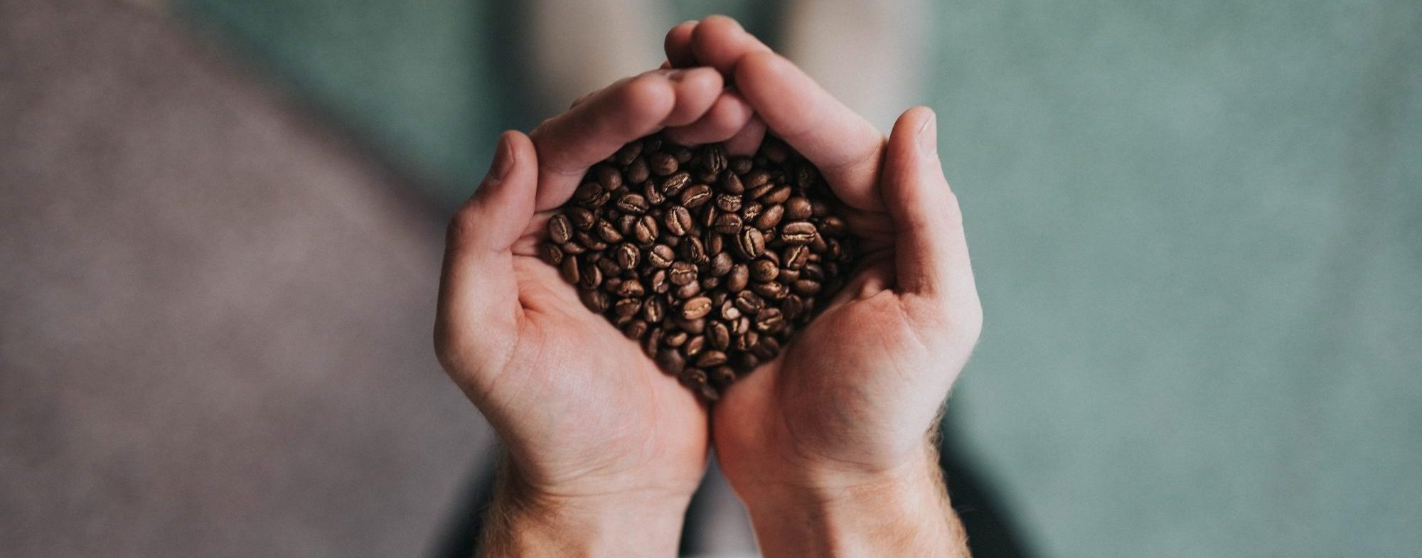 Hände halten Kaffeebohnen