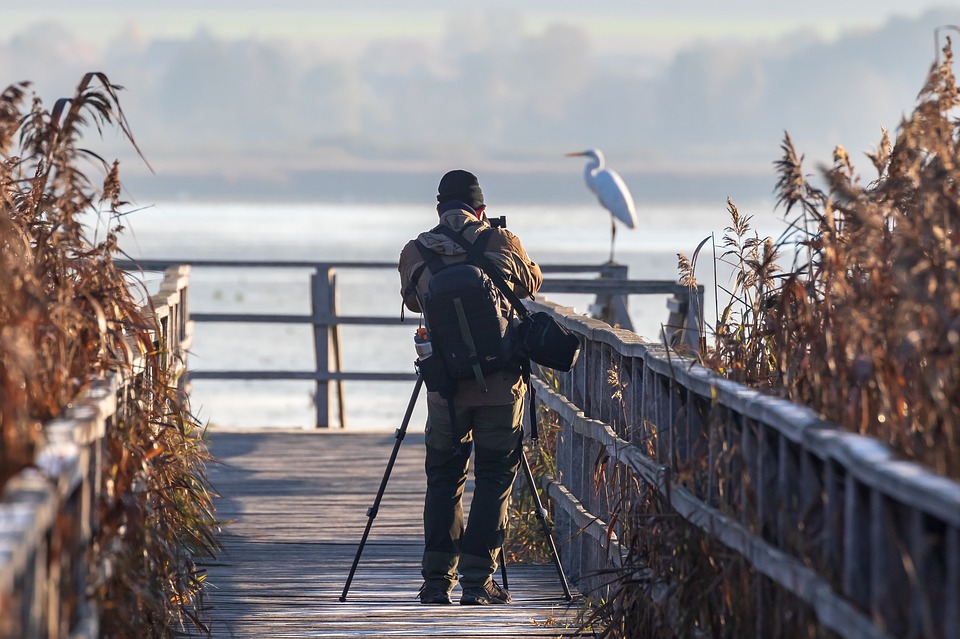 Mann der Vogel fotografiert