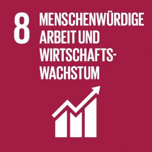 Icon des SDG 8
