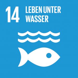 Icon des SDG 14