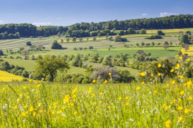UNESCO-Biosphaerenreservat Bliesgau