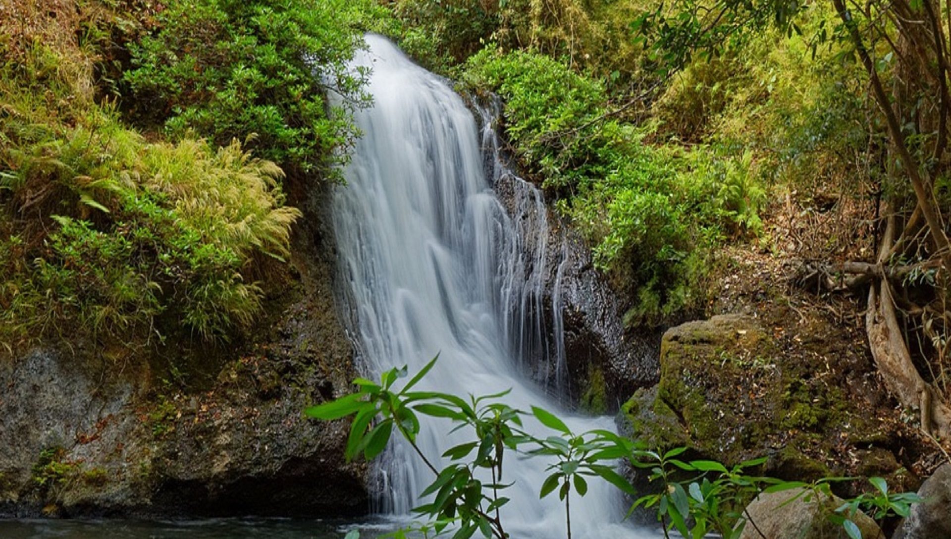 Wasserfall in Costa Rica