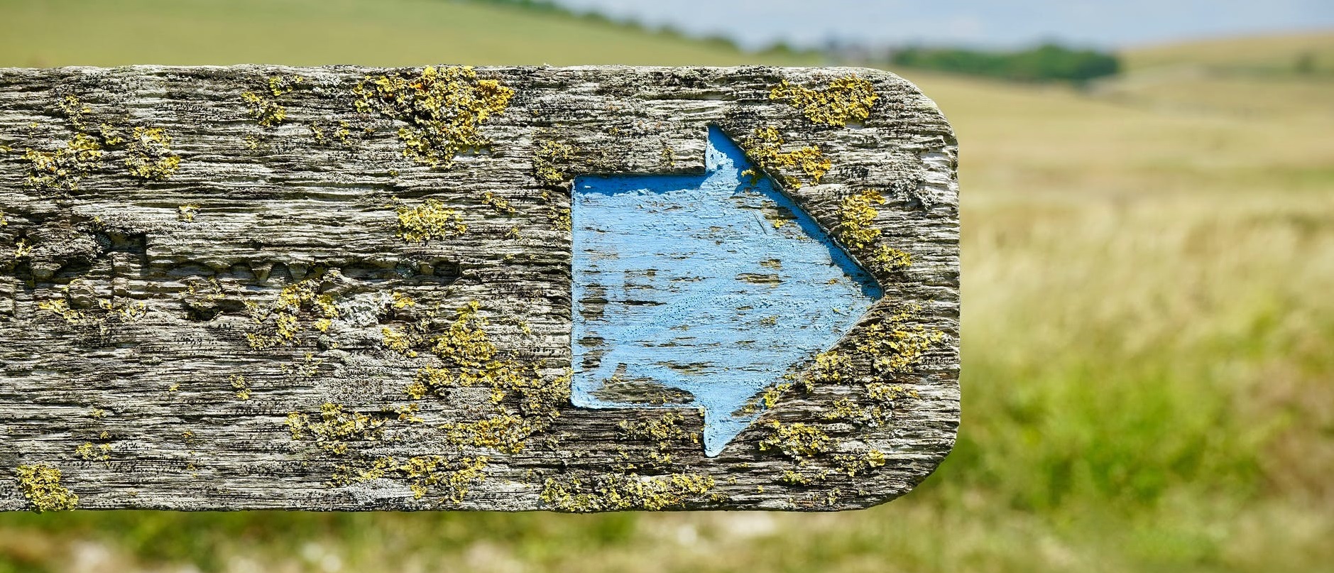 Eine grüne Wiese auf der eine Mauer mit blauem Pfeil nach rechts ist.