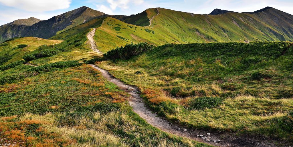 Ein schmaler Wanderweg auf den Gipfeln grüner Berge.