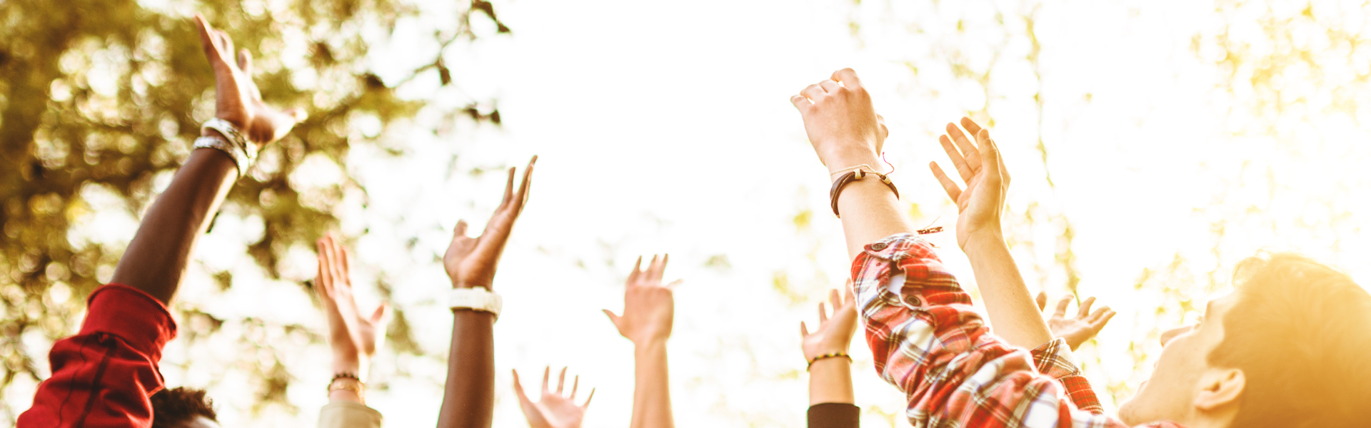 A group of people cheering with their hands raised towards the sky, with sunlight and trees in the background.